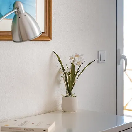 The Pateo - * Санта-Круш